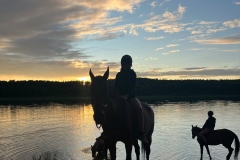 525339976_1208569944616180_5722210058496763878_n