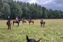 525985383_1208575527948955_565375852027554753_n