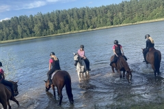 526154592_1208580604615114_2953518863891581705_n