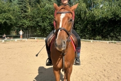 526608130_1208580651281776_1479199405455245119_n