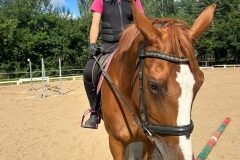 526612360_1208575927948915_3498611848791256280_n