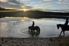 526612462_1208575374615637_5642646215746437118_n