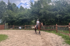 526676402_1208575914615583_8731364587367446097_n