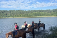 526694066_1208580511281790_7500487703138548019_n