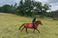 527327922_1208575447948963_2038666885196556208_n