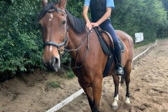 527449545_1208575681282273_2485076804277190893_n