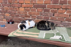 527530123_1211072197699288_1527234656494883170_n