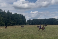 514248374_1215304533942721_4607030911327964786_n