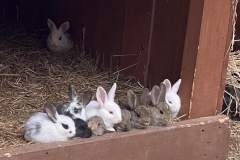 514267466_1215313450608496_2984549760253587742_n