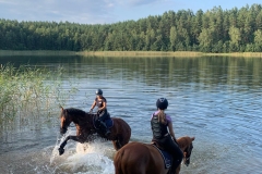 514343079_1215304090609432_2910067073720697950_n