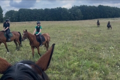 514348590_1215304337276074_6385371977881928238_n