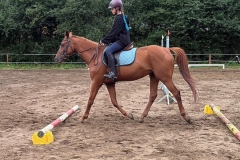 528146417_1212821057524402_8979385235286003929_n