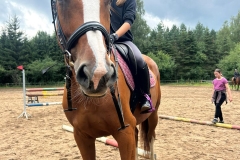 528173300_1212820824191092_3794646085305346068_n