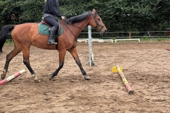 528207751_1212820904191084_2518737391397942668_n