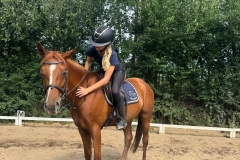 529690941_1215308837275624_6528652457627164804_n