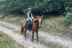 529700082_1215308607275647_2244179402300223559_n