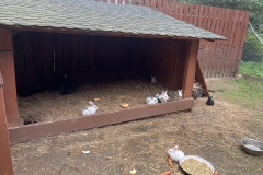 529769210_1215308893942285_278686702895506358_n