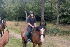 529867391_1215308993942275_2820459689044948679_n