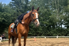 529947638_1215308350609006_2812021489368322918_n