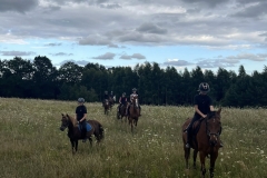 530614247_1215308627275645_1970830844698606017_n