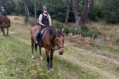 530628053_1215308810608960_7678613935880562917_n