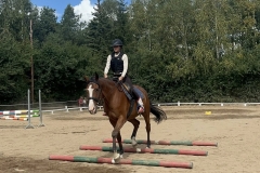 536200864_1223505573122617_2323138670828432544_n