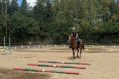 536272719_1223505909789250_1623544737192649391_n