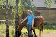 536269221_1226861412787033_2045515000701611800_n