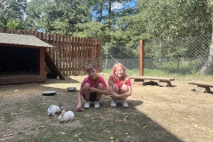 536278872_1226861889453652_5699637879633720935_n