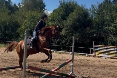 536800090_1226857116120796_408965310535374367_n