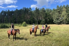 538473575_1226861656120342_1402599282538475238_n