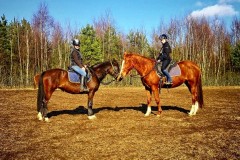 jazdy-konne-6