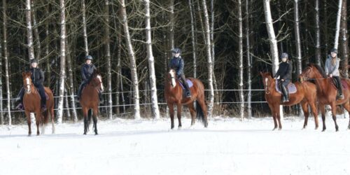 Przepiękna, magiczna Pani Zima zawitała do Robinkowa ❄️☃️ Przepiękna, magiczna Pani Zima zawitała do Robinkowa ❄️☃️