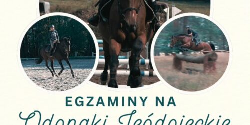 Zdobądź swoją odznakę jeździecką w Stajni Robinkowo! Zdobądź swoją odznakę jeździecką w Stajni Robinkowo!