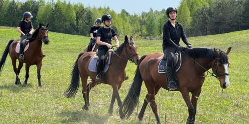 Majówka w Siodle 2025