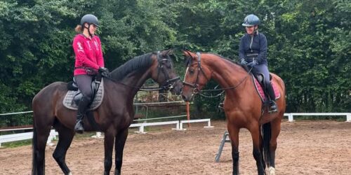 Z serii „z noskami”