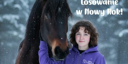 Konkurs Mikołajkowy