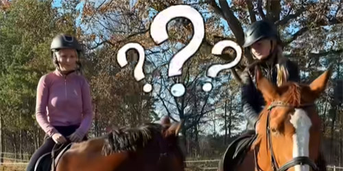 Złota Odznaka Jeździecka Złota Odznaka Jeździecka