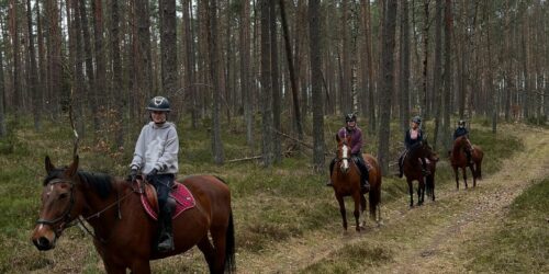 Wiosenne jazdy ruszyły pełną parą Wiosenne jazdy ruszyły pełną parą