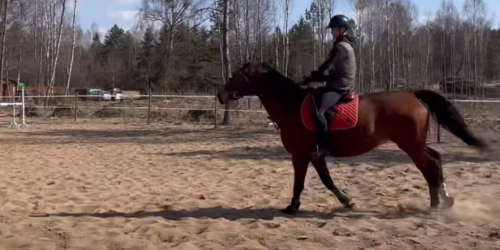 Treningi w Stajni Robinkowo Treningi w Stajni Robinkowo