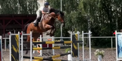 Mój dzielny Libero w rozgrywce 110 cm Mój dzielny Libero w rozgrywce 110 cm