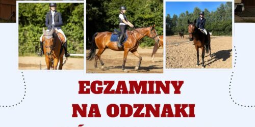 Zapraszamy na egzaminy na odznaki jeździeckie PZJ Zapraszamy na egzaminy na odznaki jeździeckie PZJ